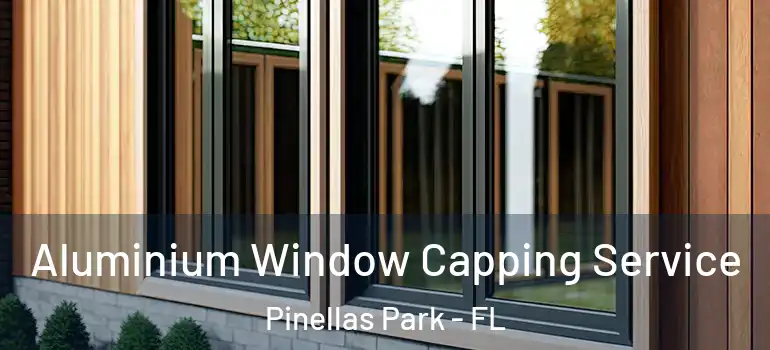 Aluminium Window Capping Service Pinellas Park - FL