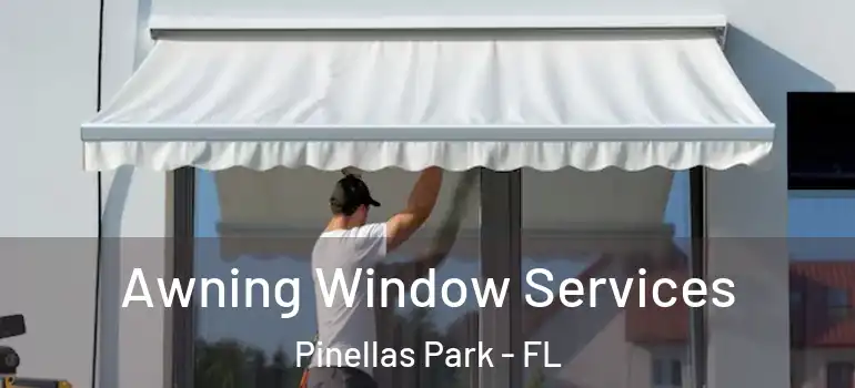 Awning Window Services Pinellas Park - FL