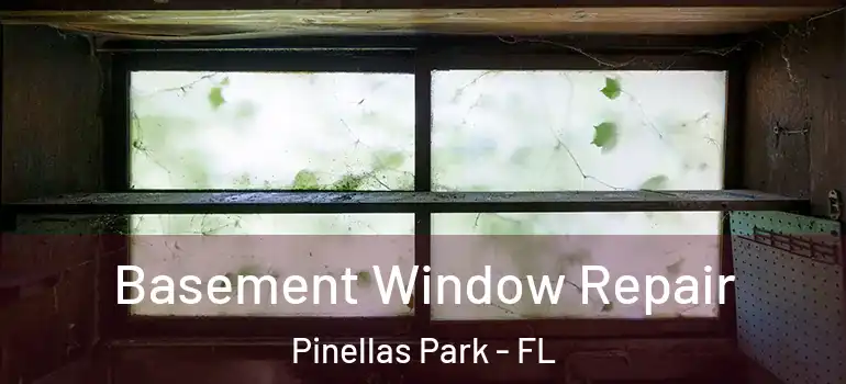 Basement Window Repair Pinellas Park - FL