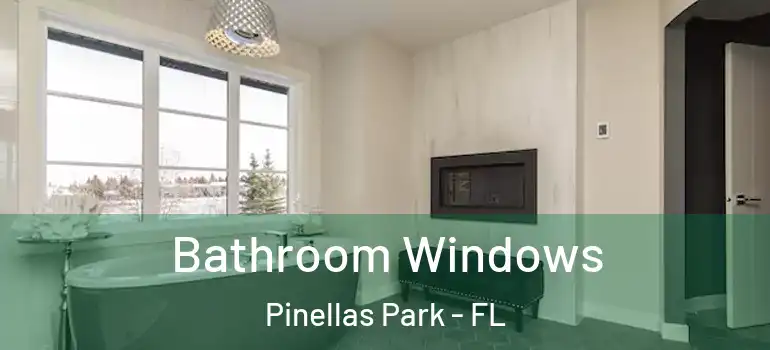 Bathroom Windows Pinellas Park - FL