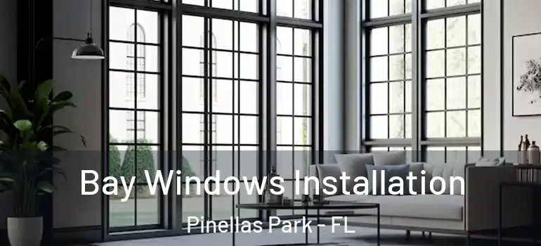 Bay Windows Installation Pinellas Park - FL