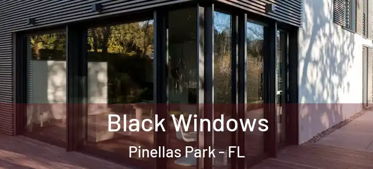 Black Windows Pinellas Park - FL