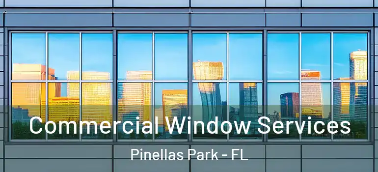 Commercial Window Services Pinellas Park - FL