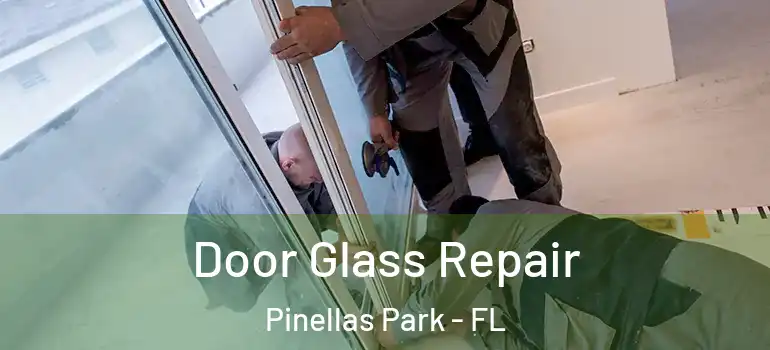  Door Glass Repair Pinellas Park - FL