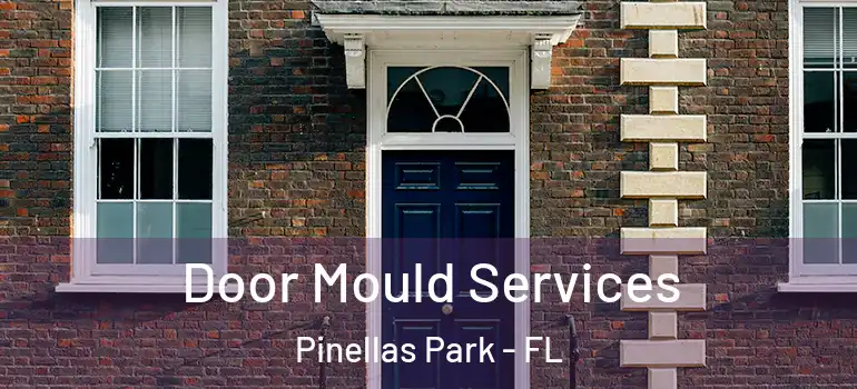 Door Mould Services Pinellas Park - FL