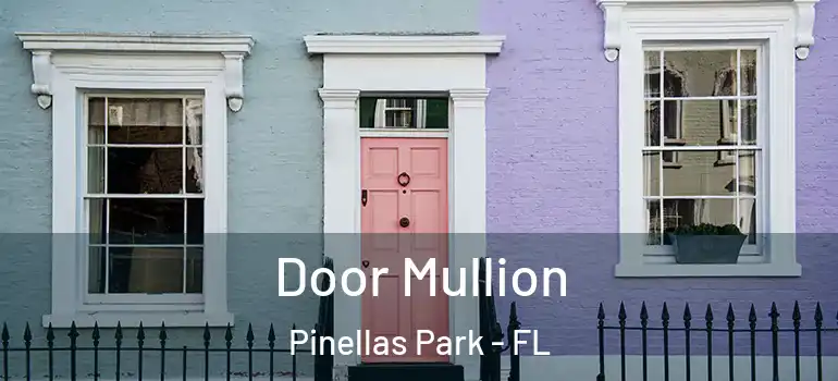 Door Mullion Pinellas Park - FL