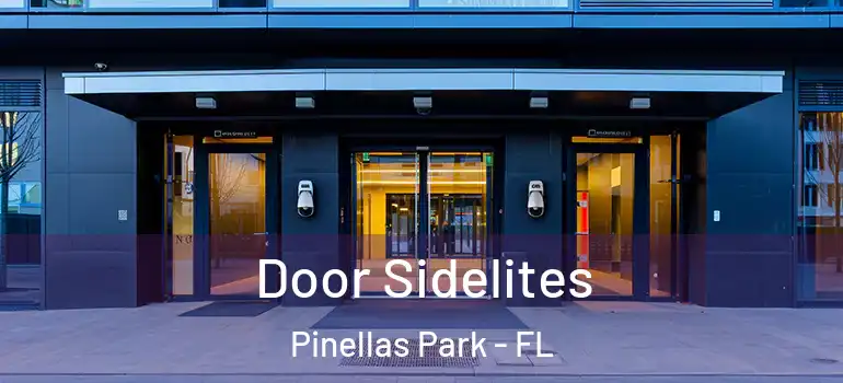 Door Sidelites Pinellas Park - FL