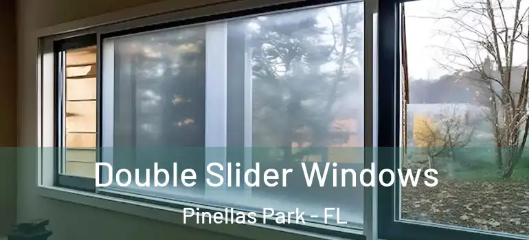 Double Slider Windows Pinellas Park - FL