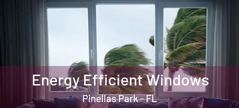 Energy Efficient Windows Pinellas Park - FL