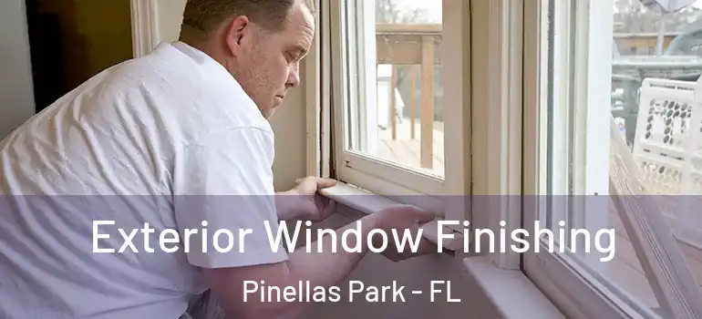 Exterior Window Finishing Pinellas Park - FL