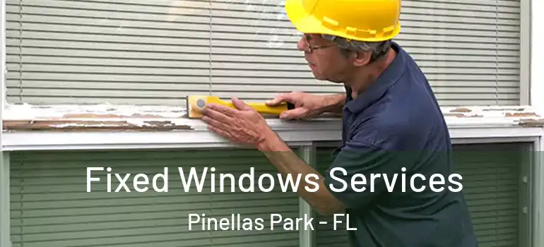 Fixed Windows Services Pinellas Park - FL