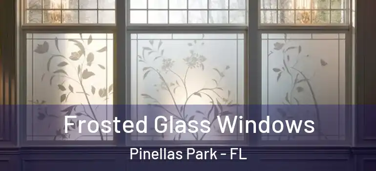 Frosted Glass Windows Pinellas Park - FL
