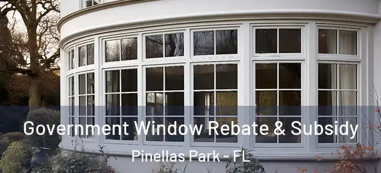 Government Window Rebate & Subsidy Pinellas Park - FL
