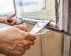 Professional Door and Windows Installation in Pinellas Park, FL