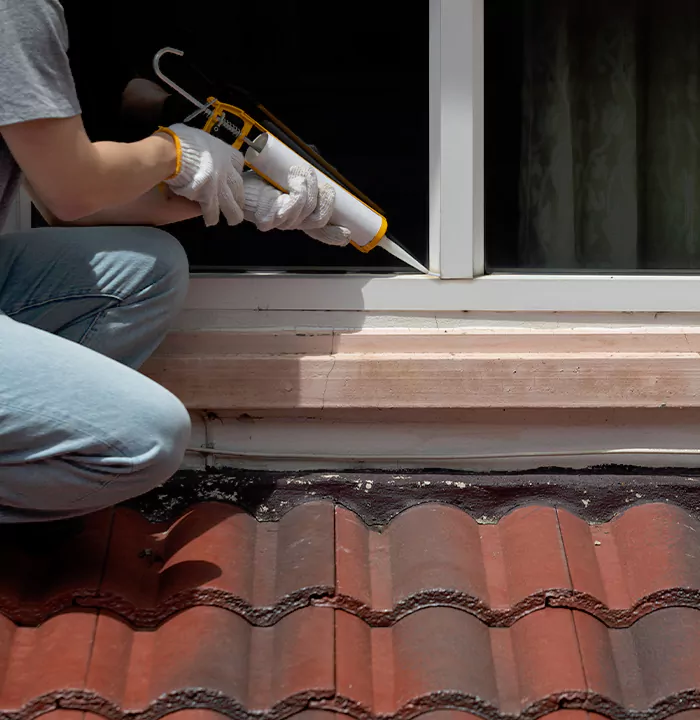 Roof Window Services in Pinellas Park, Florida