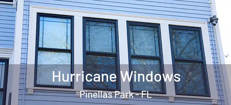 Hurricane Windows Pinellas Park - FL