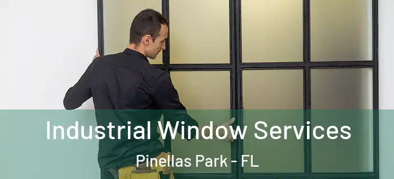 Industrial Window Services Pinellas Park - FL