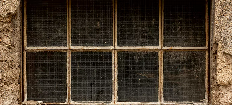 Traditional Double Front Doors in Pinellas Park, FL