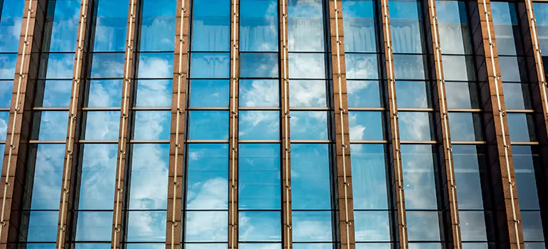 Professional Window Tinting Services in Pinellas Park, FL