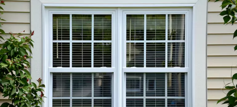 Custom Double Hung Windows in Pinellas Park, FL