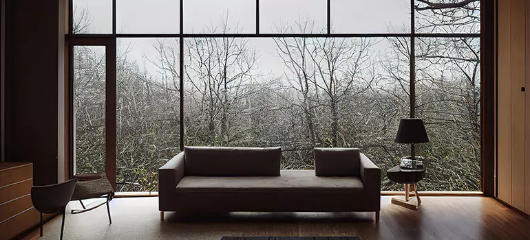 Casement Picture Window in Pinellas Park, FL