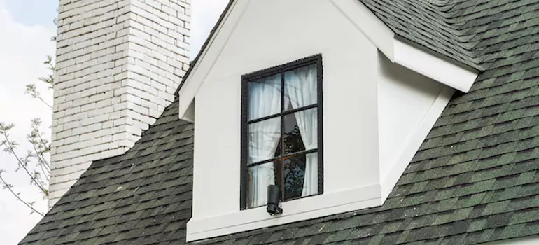 Roof Window Repair in Pinellas Park, FL