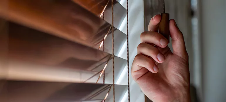 Double Roller Blinds in Pinellas Park, FL