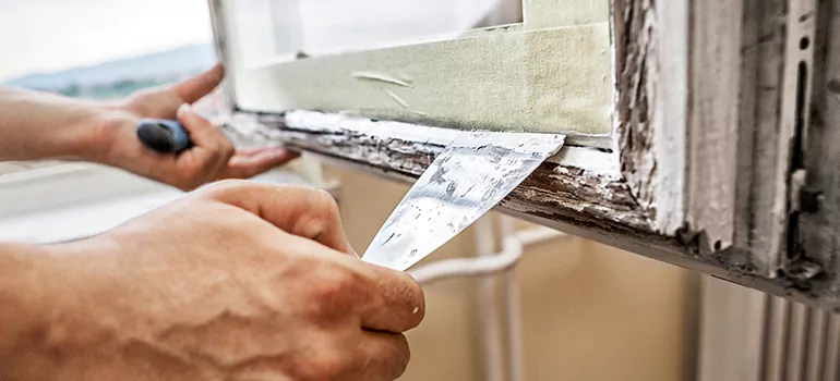 Exterior Window Frame Repair in Pinellas Park, FL