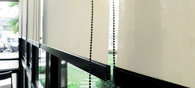 Blackout Window Shades in Pinellas Park, FL