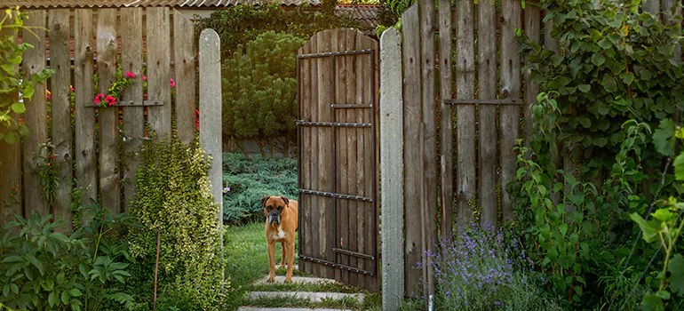 Winter Garden Garage Door Repair in Pinellas Park,[location field=state]