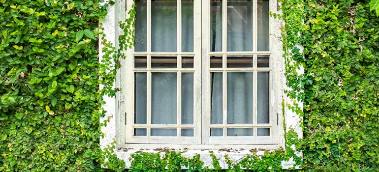 Garden Window Repair Near Me in Pinellas Park, FL