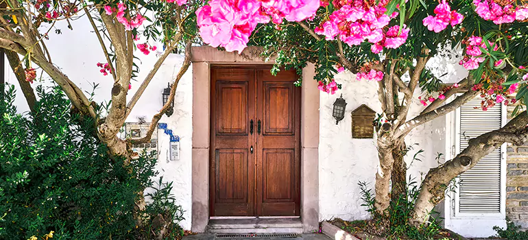 Traditional 4 Panel Internal Doors in Pinellas Park, FL