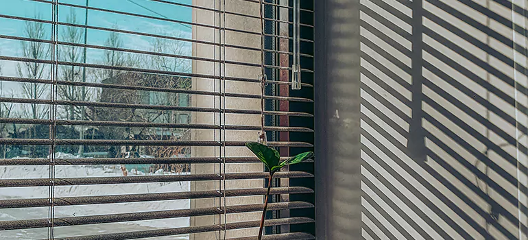 Commercial Window Blinds in Pinellas Park, FL