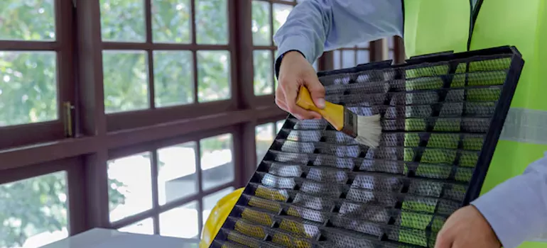 Traditional Window Grille Installation Options in Pinellas Park, FL