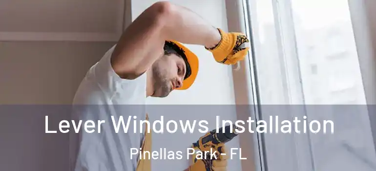 Lever Windows Installation Pinellas Park - FL