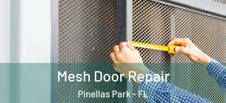 Mesh Door Repair Pinellas Park - FL