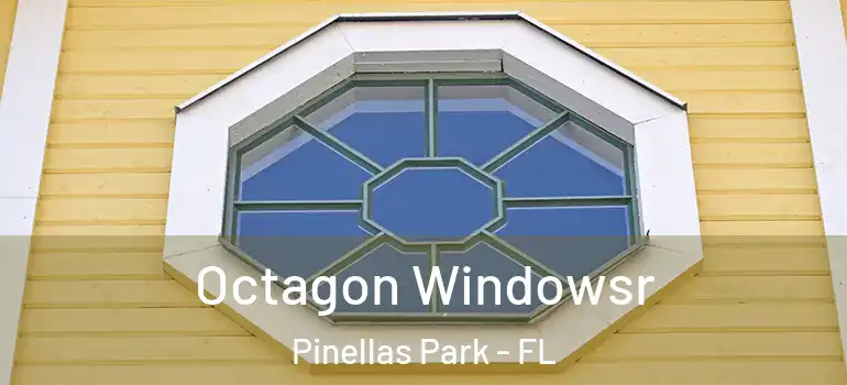 Octagon Windowsr Pinellas Park - FL