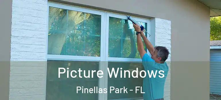 Picture Windows Pinellas Park - FL