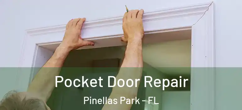  Pocket Door Repair Pinellas Park - FL