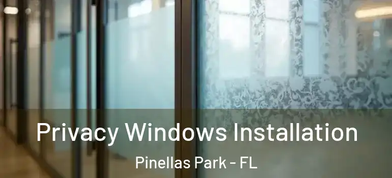 Privacy Windows Installation Pinellas Park - FL