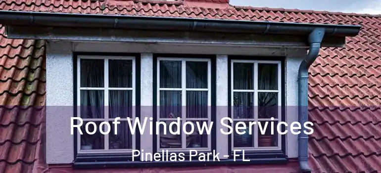 Roof Window Services Pinellas Park - FL