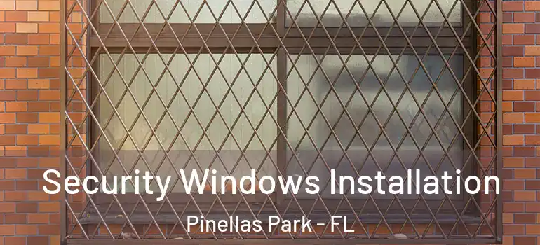 Security Windows Installation Pinellas Park - FL