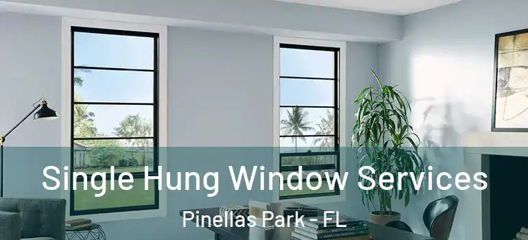 Single Hung Window Services Pinellas Park - FL