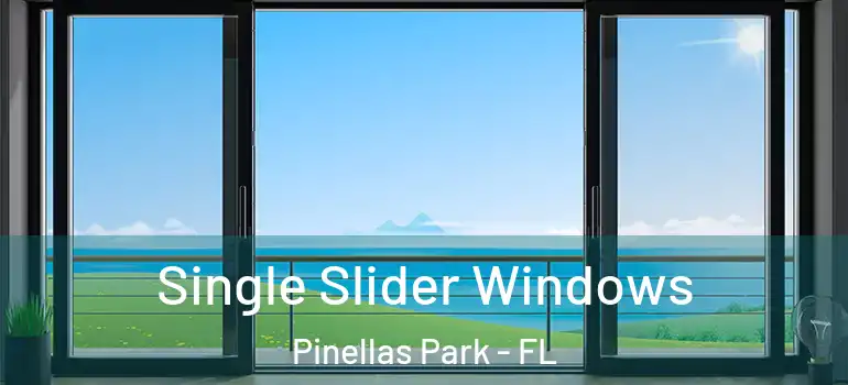 Single Slider Windows Pinellas Park - FL