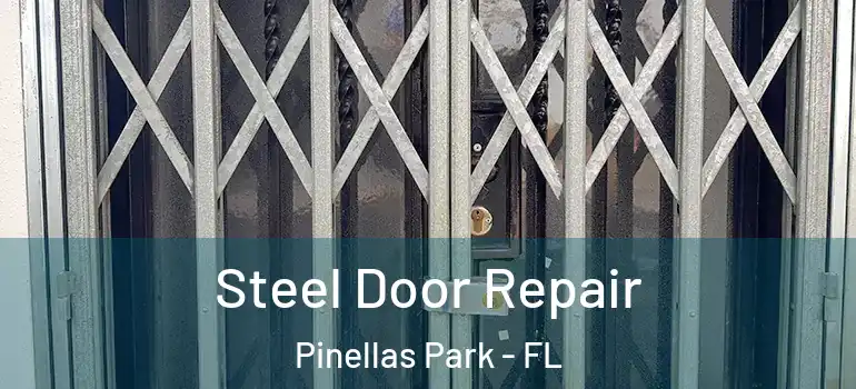 Steel Door Repair Pinellas Park - FL