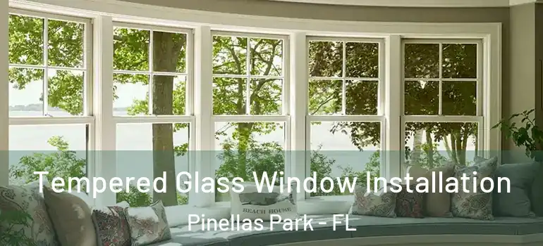 Tempered Glass Window Installation Pinellas Park - FL