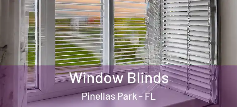 Window Blinds Pinellas Park - FL