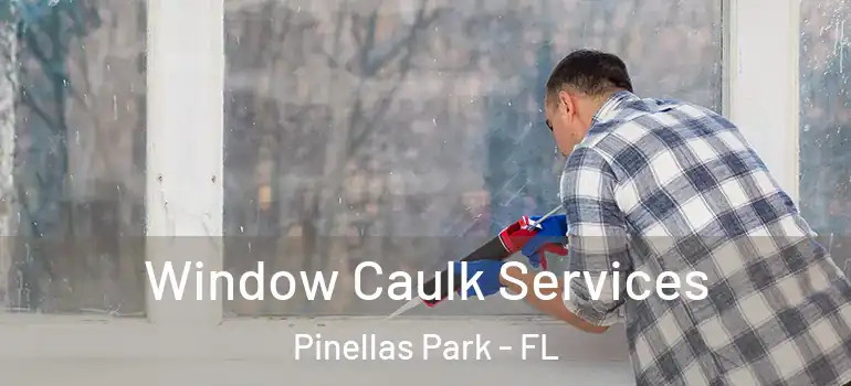 Window Caulk Services Pinellas Park - FL