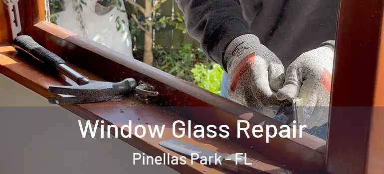 Window Glass Repair Pinellas Park - FL