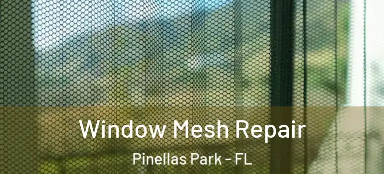 Window Mesh Repair Pinellas Park - FL